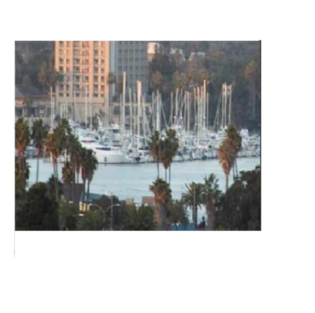 Guest house Overlooking Marina Del Rey Sailboats, Is Green Ginger Playa Del Rey On The Bluff,