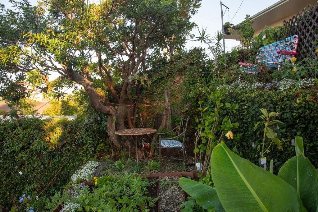 Guest house Overlooking Marina Del Rey Sailboats, Is Green Ginger Playa Del Rey On The Bluff,